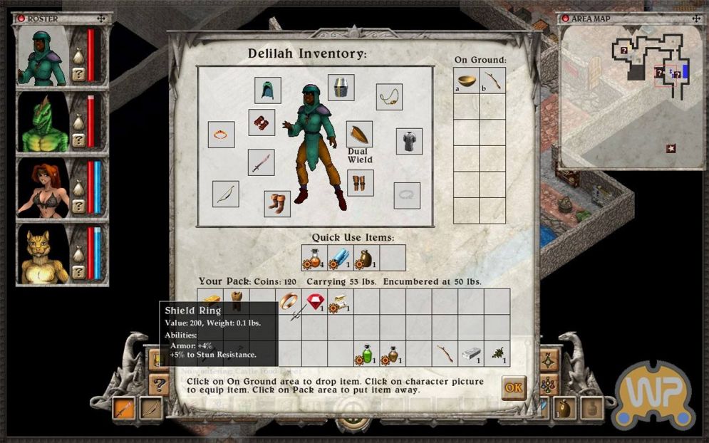 Screenshot ze hry Avernum VI - Recenze-her.cz