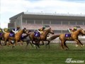 Gallop Racer