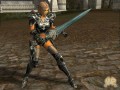 Lineage II: The Chaotic Throne  Interlude