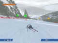 Ski Racing 2006