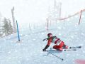 Ski Racing 2006