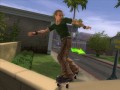 Tony Hawk's American Wasteland