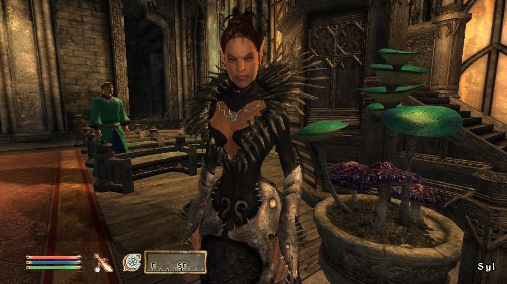 Screenshot ze hry Oblivion - Shivering Isles - Recenze-her.cz